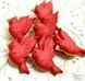 Cardinals / Кардинал 12389 фото 1
