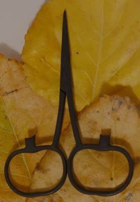 Pumpkin ps фото