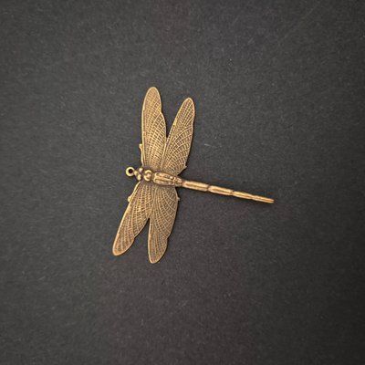 Dragonfly / Бабка J-60215 фото