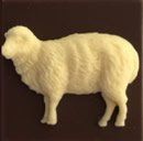 Овца sheep фото