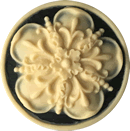 Роза Тюдоров tudorrose фото