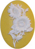 Подсолнечник sunflower фото