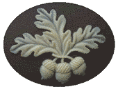 Желудь acorn фото